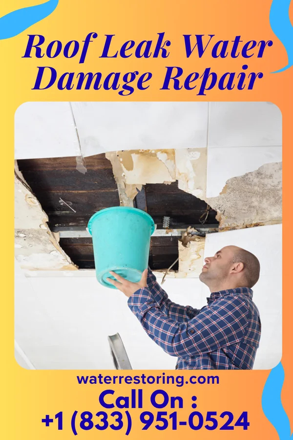 Roof Leak Water Damage Repair in Bathgate, ND