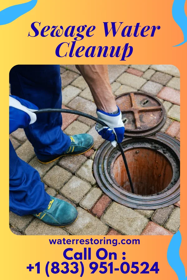 Sewage Water Cleanup in Bathgate, ND